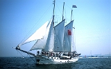 Sail 2003, Dreimastgaffelschoner Ioth Iorien, unter russischer Flagge